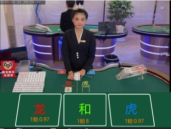 腾龙·暗影突击